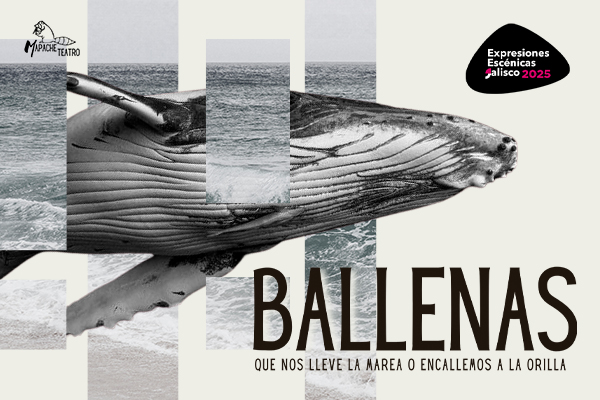 Ballenas, que nos lleve la marea o encallemos a la orilla