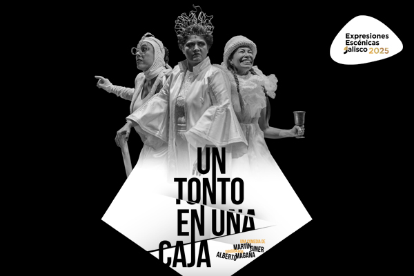 Un tonto en una caja
