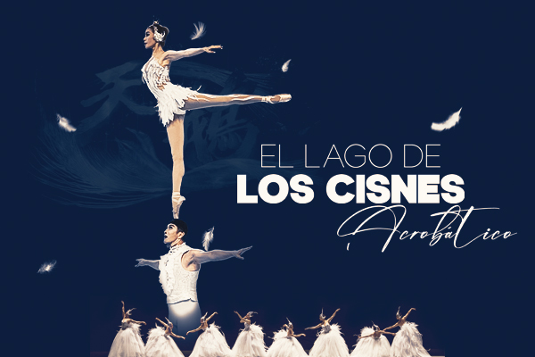 El lago de los cisnes acrobático