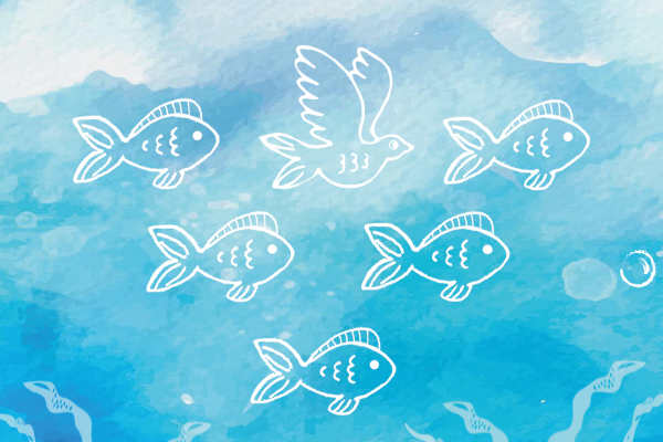 Un  cardumen en el cielo y una parvada en el mar